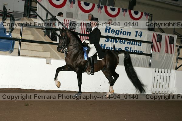 Proof Number r14-04_0140